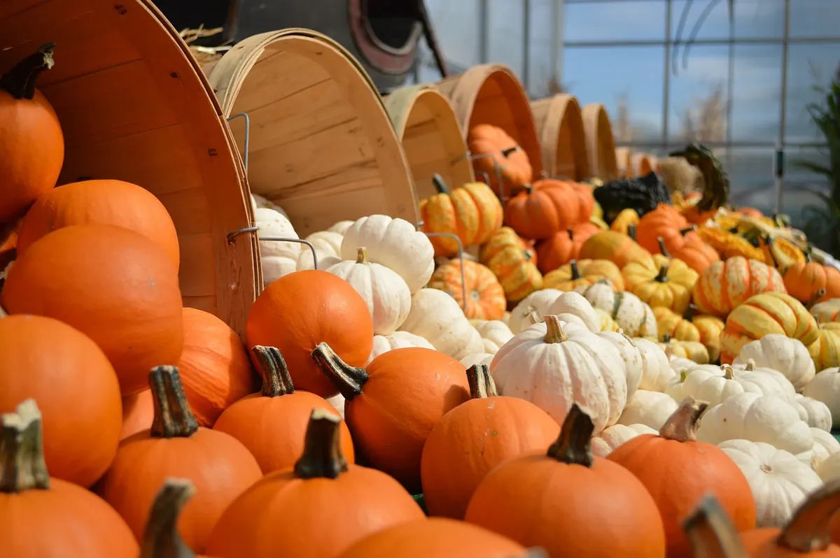 Seasonal Eating in Early Autumn: What to Buy, Cook and Preserve This Month